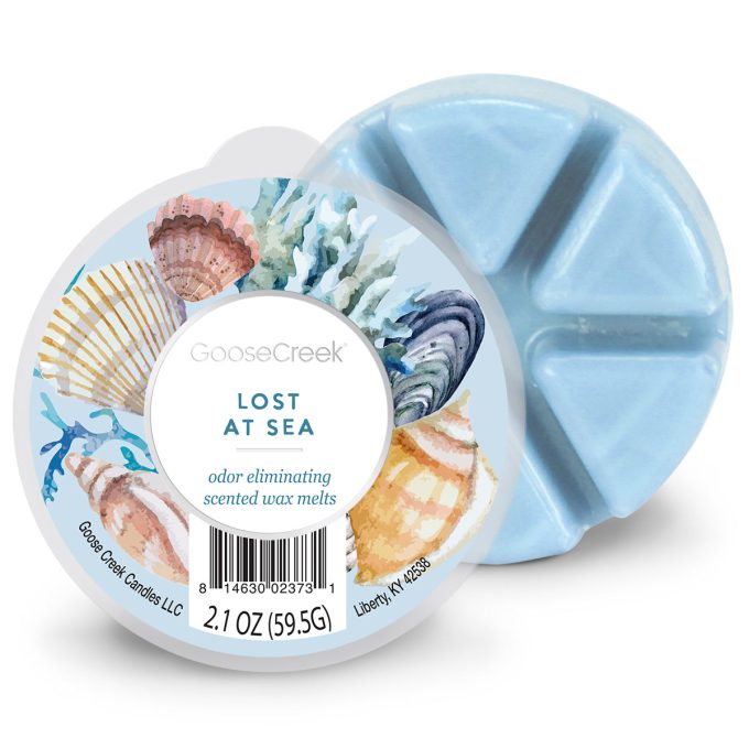 Odor Eliminating - Lost at Sea Wax Melt
